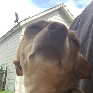 Meet your Posher, Gavin